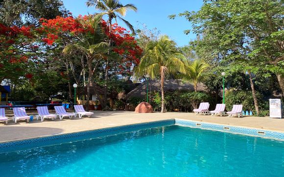 African Village Bougainvillées