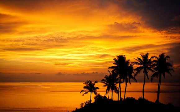 Tu itinerario de viaje