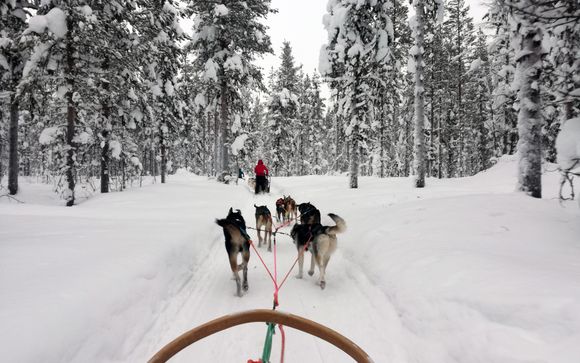 Tus actividades incluidas