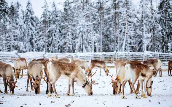 Tus actividades incluidas