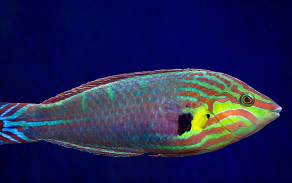 ¡Completa tu estancia!