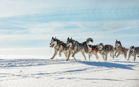 Tus opciones incluidas