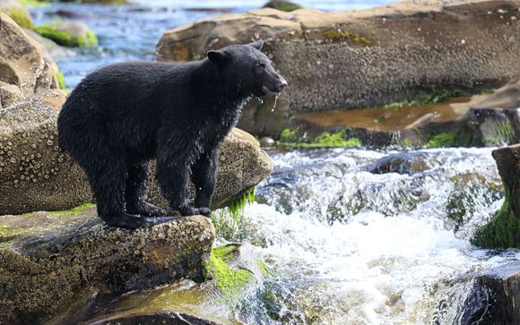 ¡Completa tu estancia!