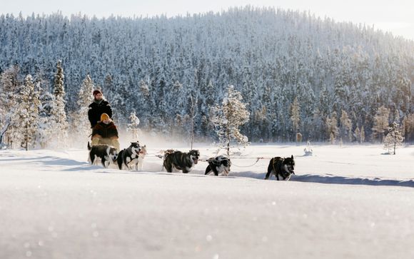 Tus opciones incluidas