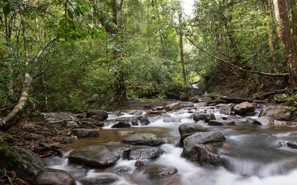 ¡Completa tu estancia!