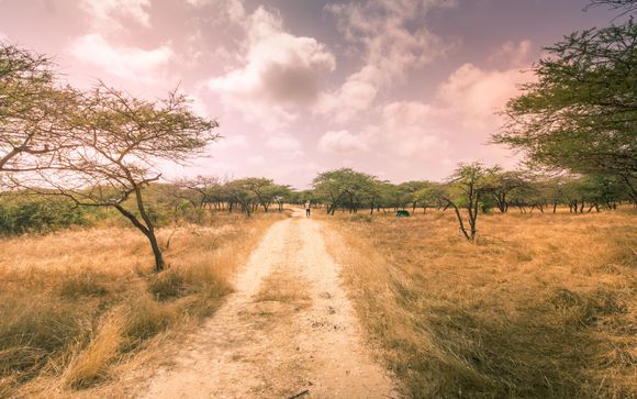 ¡Completa tu estancia!