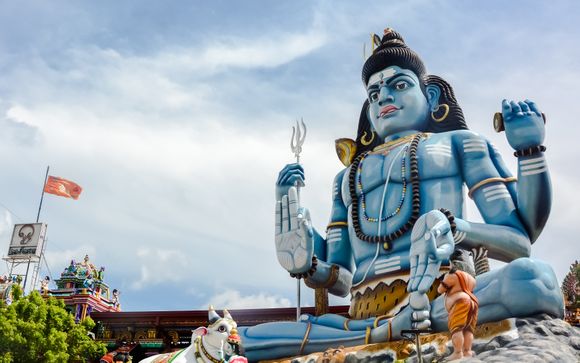 Tus opciones incluidas