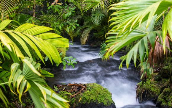 ¡Completa tu estancia!