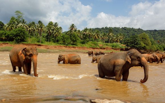 ¡Completa tu estancia!