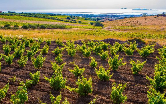 ¡Completa tu estancia!