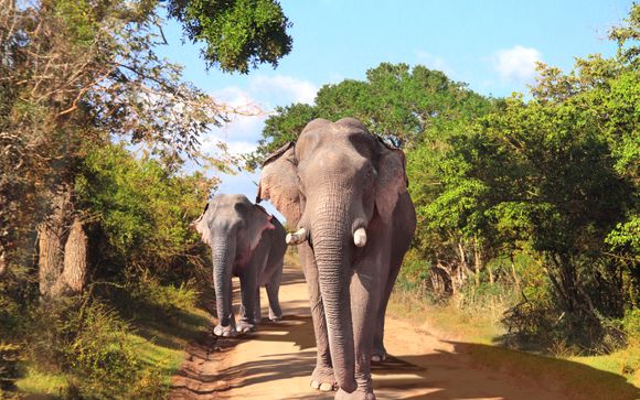 ¡Completa tu estancia!