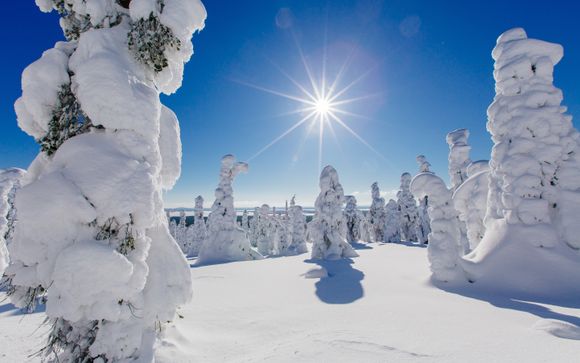 ¡Completa tu estancia!