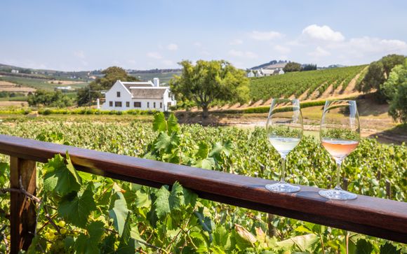 Tus opciones incluidas