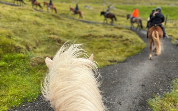 ¡Completa tu estancia!