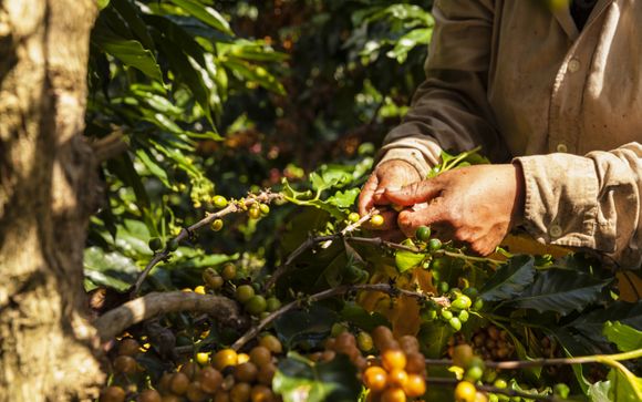 ¡Completa tu estancia!