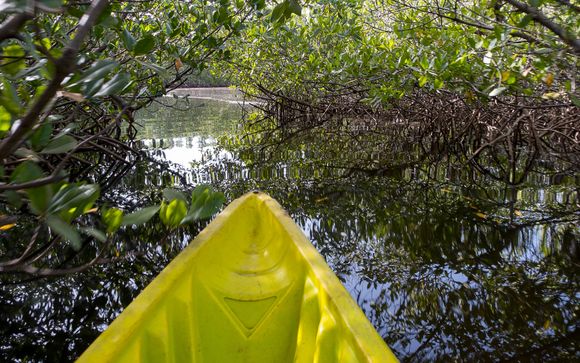 ¡Completa tu estancia!