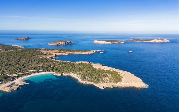 Tu actividad incluida