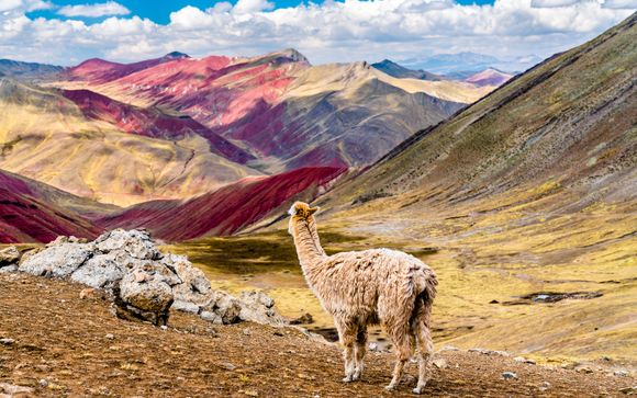 ¡Completa tu estancia!