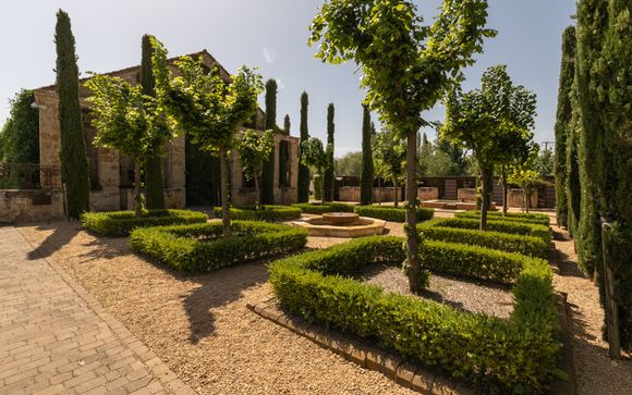 Tu habitación
