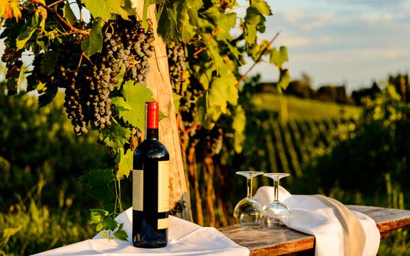 Cata de vinos y aceite en Greve in Chianti