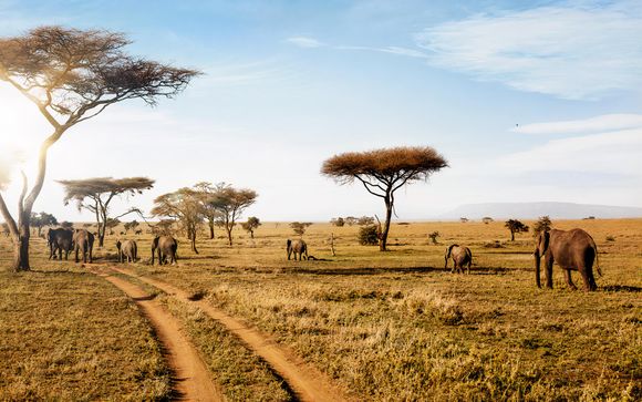 Tu itinerario en detalle