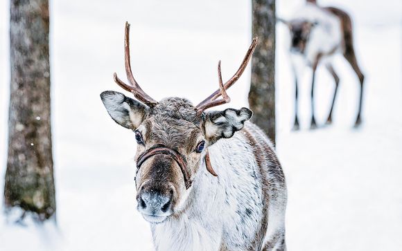 Tus actividades (por temporadas)
