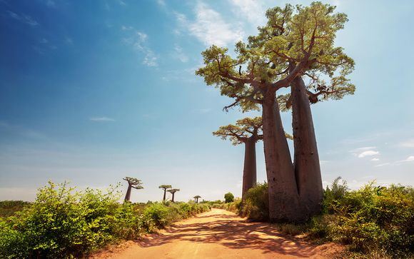 Tu Circuito por la Auténtica Senegal