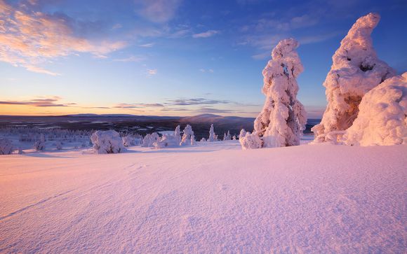 Ranua, en Finlandia, te espera