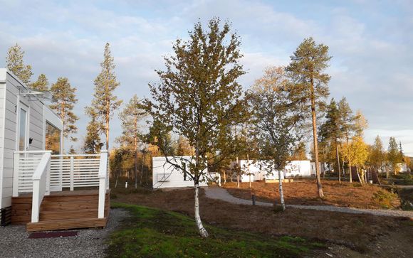 Northern Lights Ranch