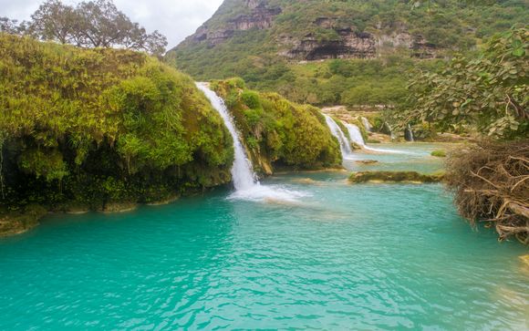 Tus actividades incluidas (según la duración elegida)