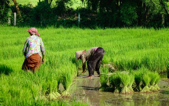 Tu itinerario de viaje