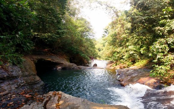 ¡Completa tu estancia!