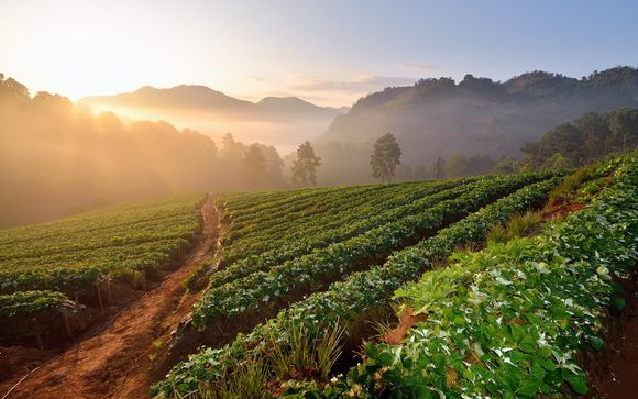 ¡Completa tu estancia!