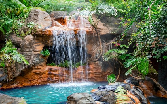 ¡Completa tu estancia!