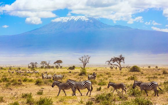 Safari Privado de 6 noches Kenia