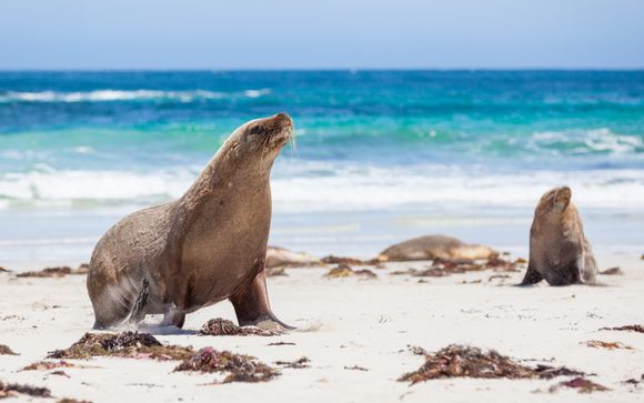 ¡Completa tu estancia!