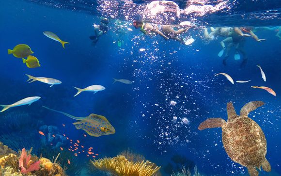 ¡Completa tu estancia!