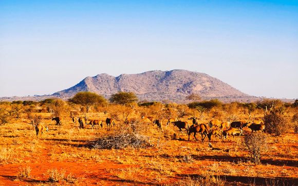 Tu itinerario durante el safari