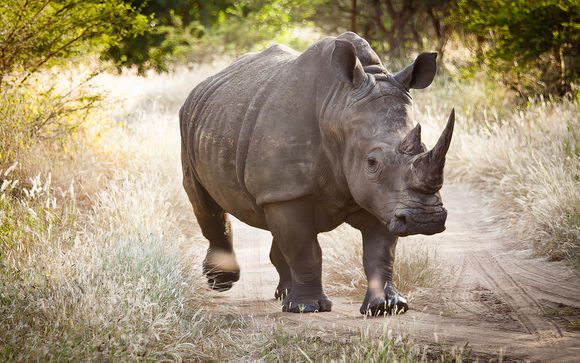 ¡Completa tu estancia!