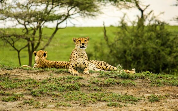 Tu safari de 4 noches