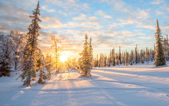 Saariselkä, en la Laponia finlandesa, te espera