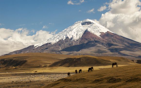 Tu itinerario