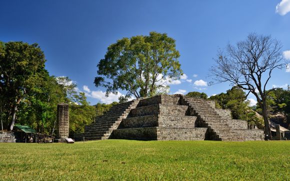 Tu destino