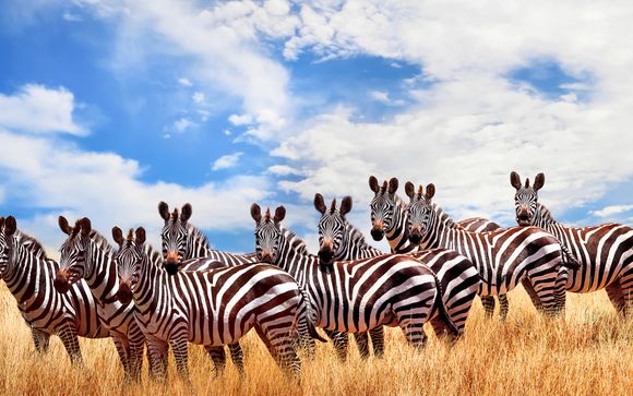 Trio Hemingways: Nairobi 5*, Ol Seki Mara y Watamu 5*