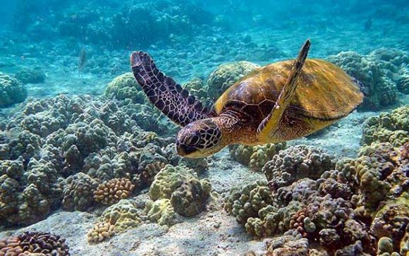 ¡Completa tu estancia! 