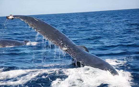 ¡Completa tu estancia!