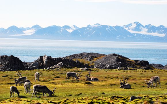 Tu itinerario durante el crucero