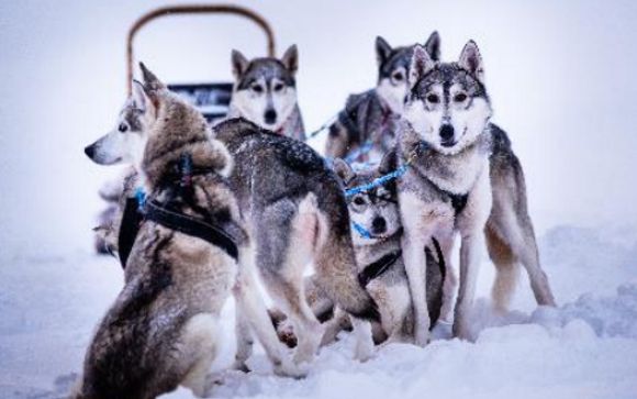 ¡Completa tu estancia!