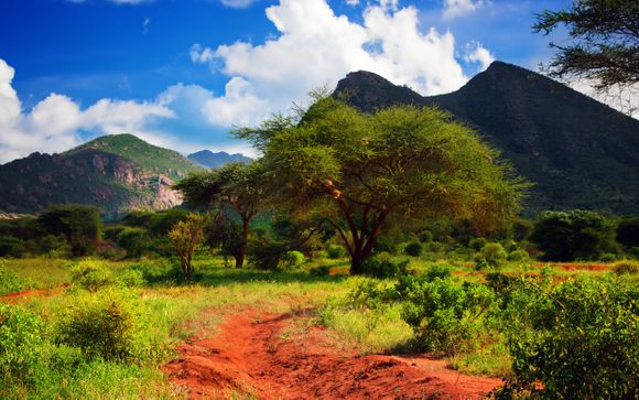 Tu itinerario durante el safari