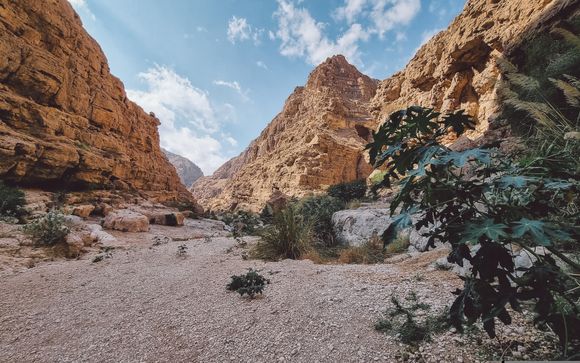 ¡Completa tu estancia!